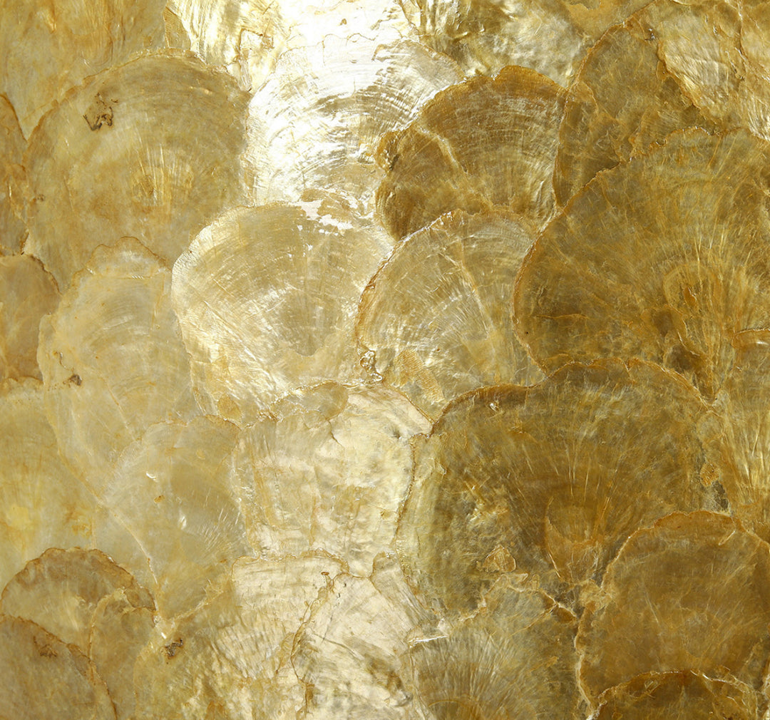 SCHAAL CAPIZ GOUD