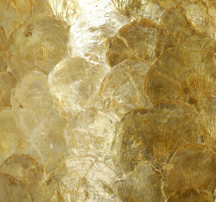 SCHAAL CAPIZ GOUD